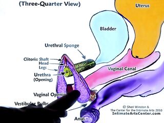 SQUIRTING TUTORIAL #two - How to Make Girl SQUIRT?