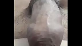O Terastios Poutsos Mou