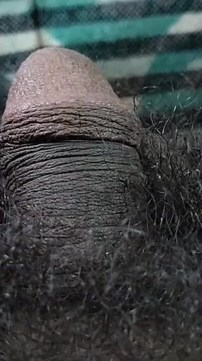 Hide and Seek Play