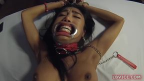 320px x 240px - Asian Slave Tube | Trans Porn Videos | TGTube.com