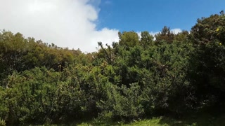 Part 4: Wife alone in cruising area. Stranger 3 is watching