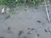 Peeing at public beach, everyone watched