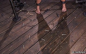 Brunette beauty is bound in devices