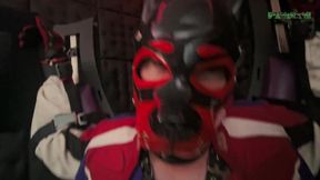 Playing Puppies Pleasure on the Cross Part 2