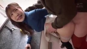 08353 Training camp license