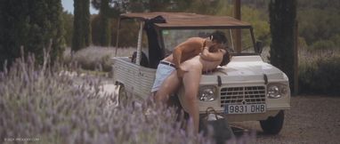 Anastasia Stone - Lavender Fields