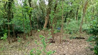 Love Public Fucking Outside with a Nice Cum Reward