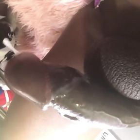 Chaturbate 12 in Dildo Ride Cumshot