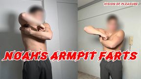 Noah's Armpit Farts