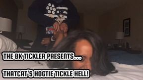 THATCAT’S HOGTIE TICKLE HELL!