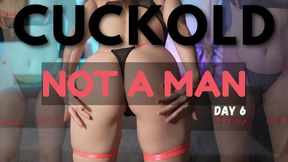 Cuckold training day 6 - you are not a man any more