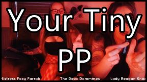 Your Tiny PP