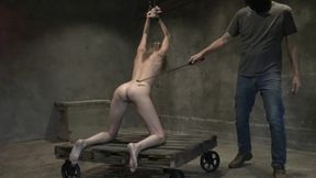 Skinny Sub Ass Worship