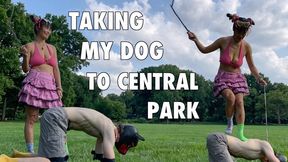 Dominating My Slave Dog in Central Park (Full) - Spanking, Trampling, Ballbusting, and Human Furniture