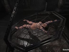 Waterbondage Exclusive Aria Giovanni Is