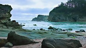 test 2 oli subbrands