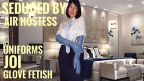 Seduced By Air Hostess