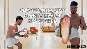 Macrophilia - chased through the giant house and crushed