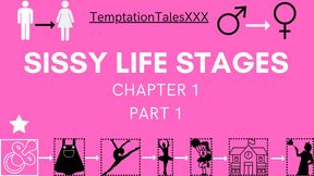 Sissy Cuckhold Husband Life Stages Chapter 1 Part 1 (Audio Erotica)