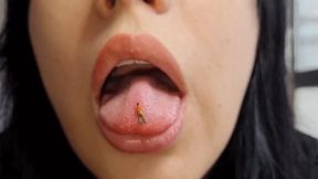 Teen Giantess Lick and EAT YOU to end up Inside her growling Stomach VORE