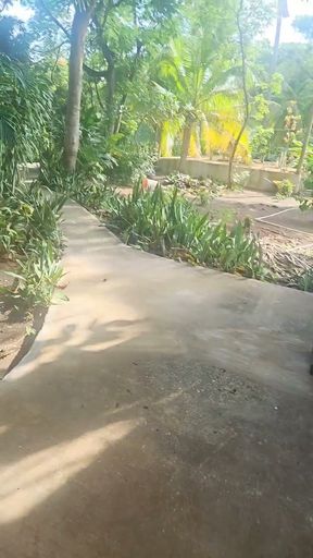 A lil slice of Paradise - Caribbean joy and delights   Clip 1