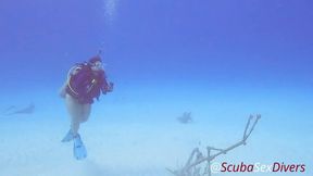 We take her bikini bottom off for some fun at the bottom of the sea!