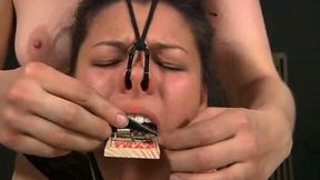 Brunette beauty gets a mousetrap on her tongue in bdsm play