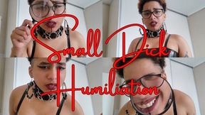SPH | Trans Dominatrix Humiliates your little dick