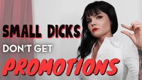 Small Dicks Don't Get Promotions (WMV)