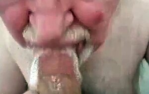 Daddy bear sucking cock