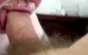 Daddy bear sucking cock