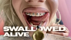 Tiny Man Swallowed Alive | VORE