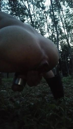 Sitting in the middle of the forest