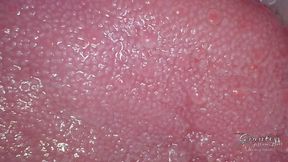 The surface of flavors