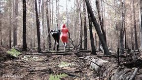 Latex Rubber Humiliation Outdoor