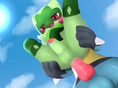 Floragato &amp; Lucario