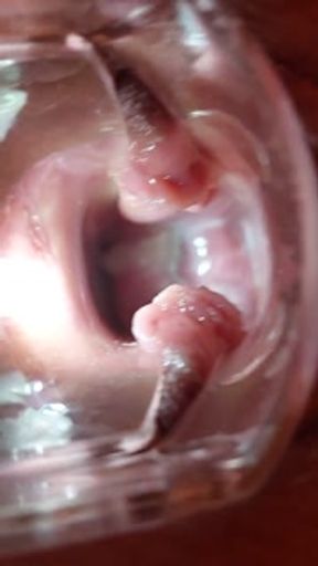Large octopus anal