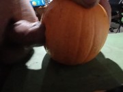 Pumpkin Fucking, Solo Male Fucks Pumpkin Until He Cums With Throbbing Cock