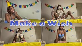 Make a Wish WAM POV (MP4)