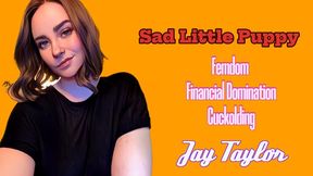 Sad Little Puppy - Audio Only