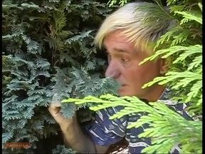 Caught Naked Sunbathing and Fucked at the Edge of the Forest