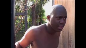 A Majestic Blonde Dominated From Behind by a Big Cock