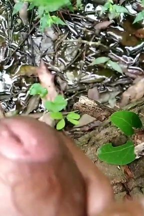 Big Dick, Cock Handjob and Cumshot in Outdoor