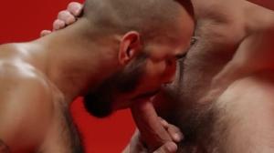 DrillMyHole: European Paddy O'Brian helps with hard ramming