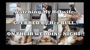 Watching my Hotwife get Bred by Her Bull on Their Wedding Night