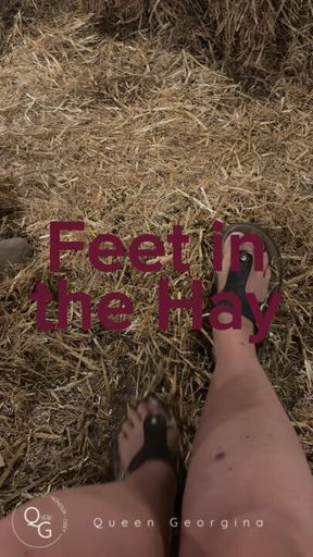Feet in the Hay