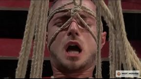 Deliciosa cena sad&ocirc_