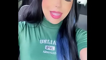 V&iacute_deo de verifica&ccedil_&atilde_o