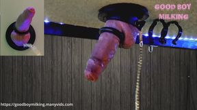 I Leashed His Cock to my Millking Table! Edged Till He Could Not Take it Anymore!!(Custom vid order)