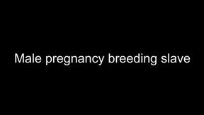 Gay Male pregnancy breeding slave